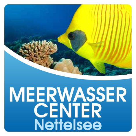 Meerwassercenter Nettelsee